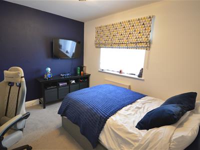 Picture 15